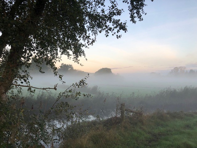 Früher Morgennebel in den Hüttener Bergen